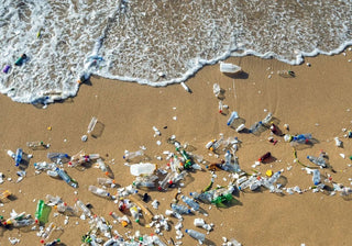 Where Does All Our Waste Go?