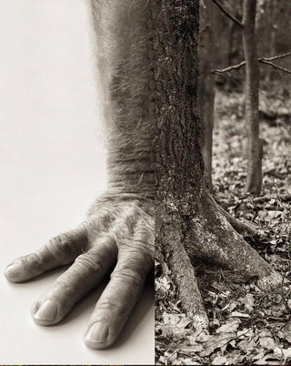 We are Nature, and Nature is us